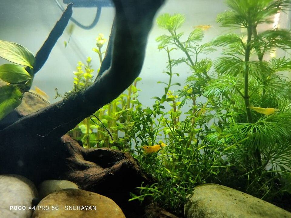 Photo 4 of 4