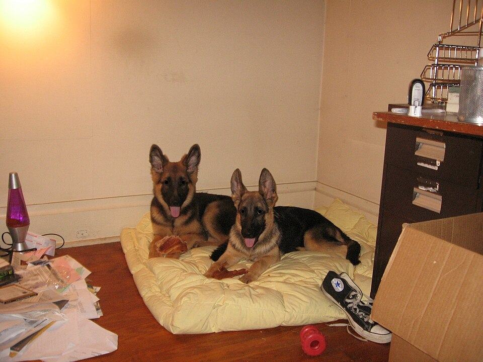 Photo 4 of 4
