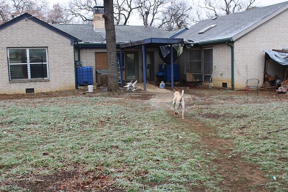 Photo 2 of 5