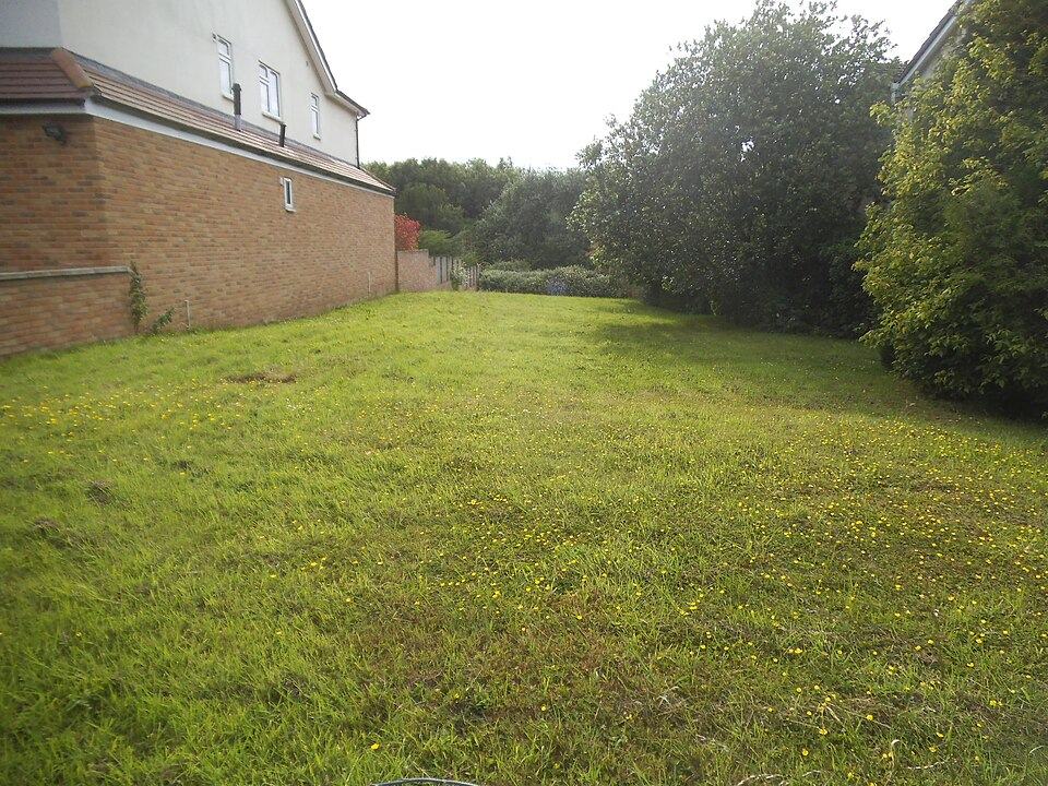 Photo 2 of 4